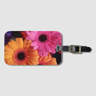 Gerber daisis rosa und orange Gepäckanhänger