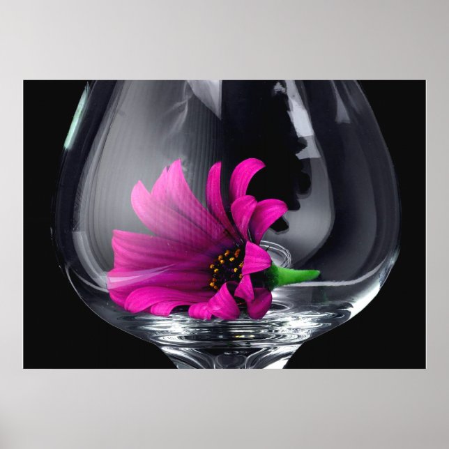 Gerber Daisy im Weinglas POSTER oder CARD (Vorne)