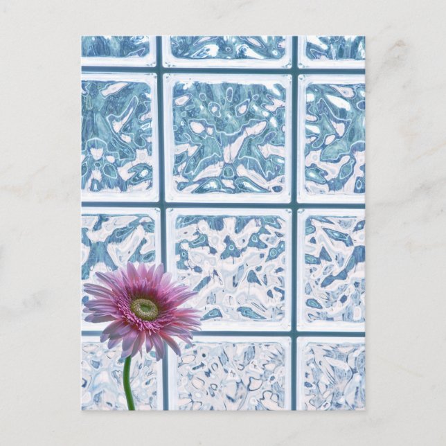 Gerber Daisy Postkarte (Vorderseite)