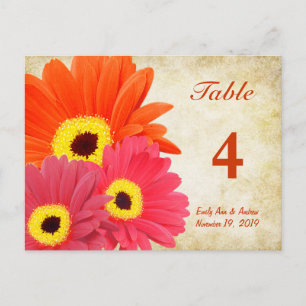 Gerber Daisy Tischnummer Card