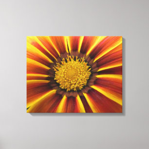 Gerber Daisy Up Nahe und persönliche Leinwand
