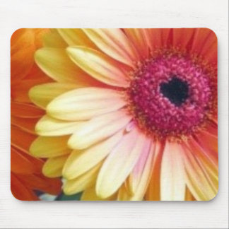 Gerber Gänseblümchen Mousepad