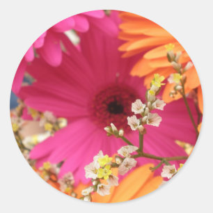 Gerber Gänseblümchen Runder Aufkleber