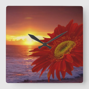 Gerber Gänseblümchen und Sonnenuntergang Quadratische Wanduhr