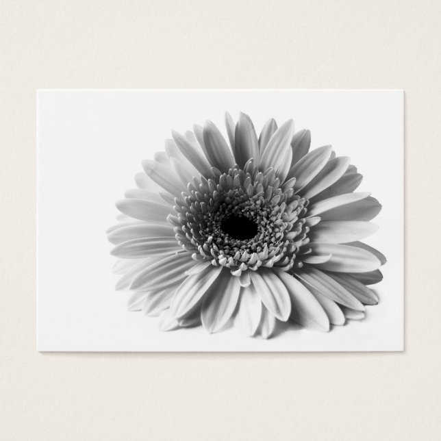 Gerbera (Vorderseite)