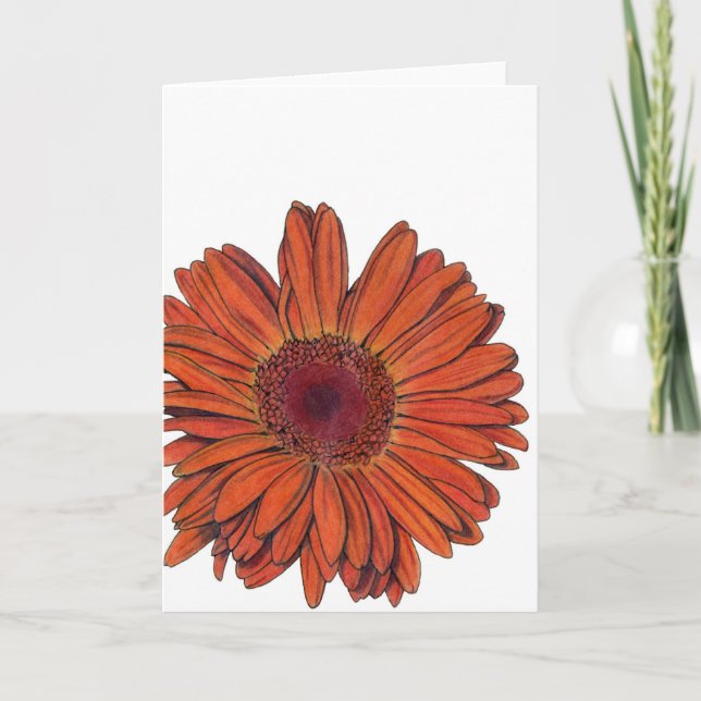 Gerbera All-Occasion Card Karte (Vorderseite)
