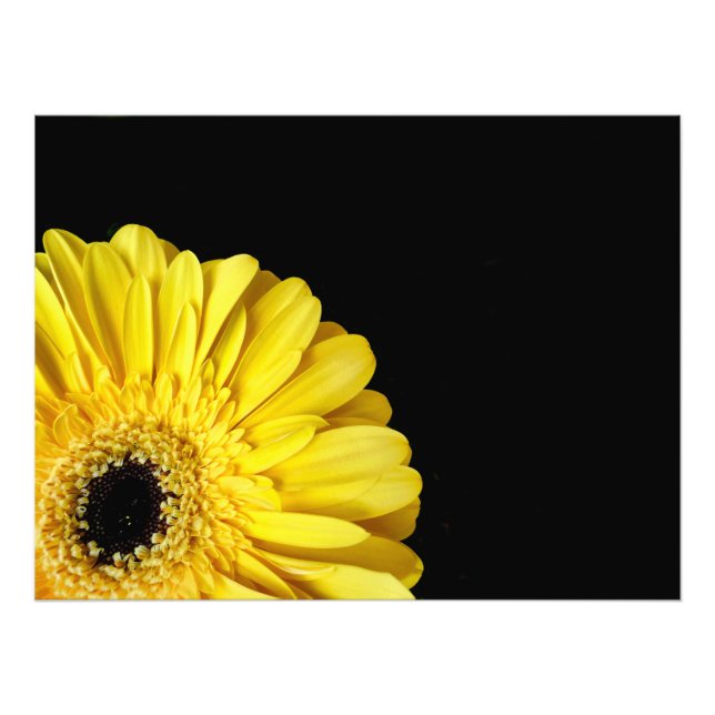 Gerbera Blume Fotodruck (Vorne)