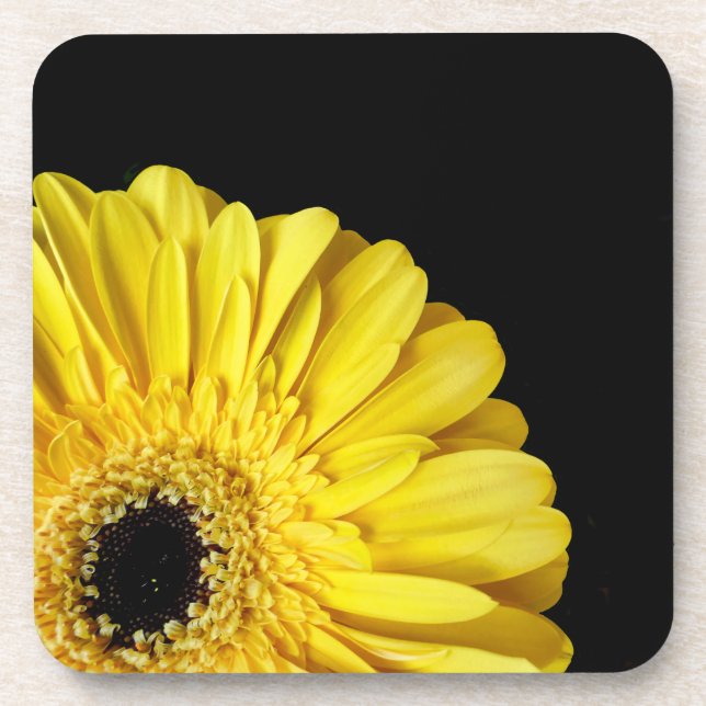 Gerbera Blume Getränkeuntersetzer (Vorderseite)