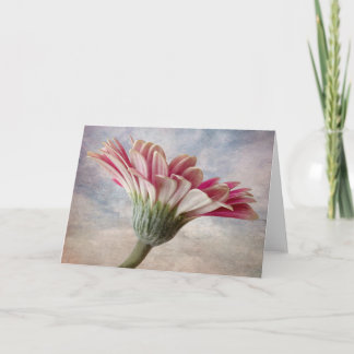 Gerbera-Blume Karte