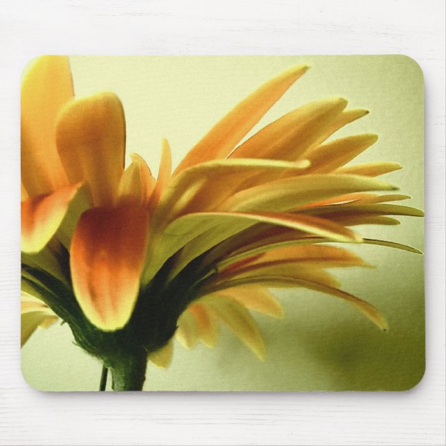 Gerbera Blume Mousepad (Vorne)