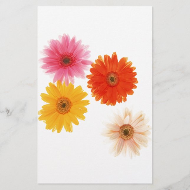 Gerbera Blume Print Floating Blume Daisy Floral (Vorderseite)