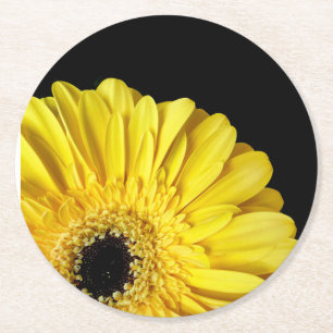 Gerbera Blume Runder Pappuntersetzer