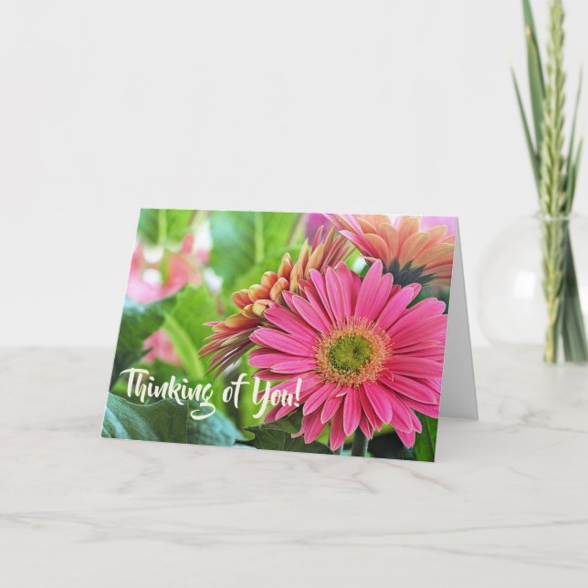 Gerbera Daisies Grußkarte Karte (Vorderseite)