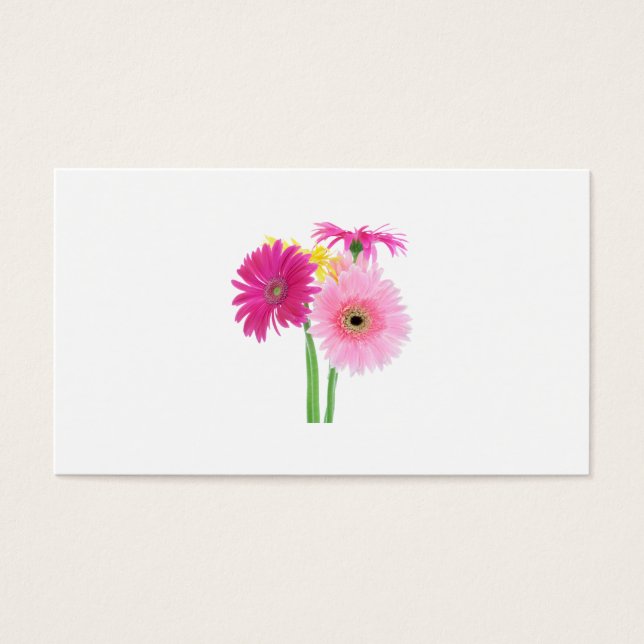Gerbera Daisies Pink (Vorderseite)