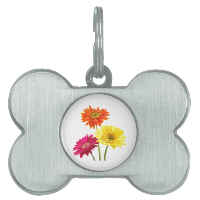 Gerbera Daisies Tiermarke (Vorderseite)