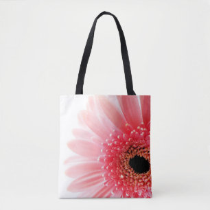 Gerbera Daisy