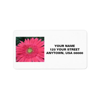 Gerbera Daisy Adressaufkleber
