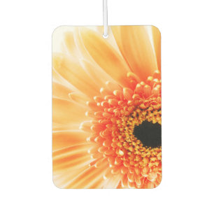 Gerbera Daisy Autolufterfrischer