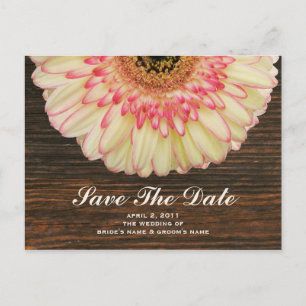 Gerbera Daisy & Barnwood Save the Date Postcard Ankündigungspostkarte