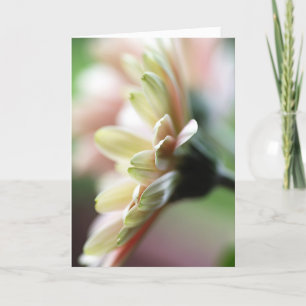 Gerbera Daisy Birthday Card Karte