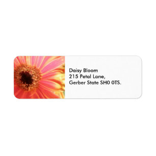 Gerbera Daisy Blume Address Labels
