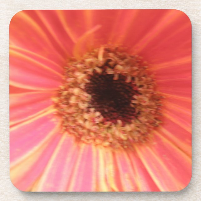 Gerbera Daisy Blume Cork Untersetzer (Vorderseite)
