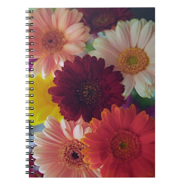 Gerbera Daisy Blume Foto Art Journal Notizblock (Vorderseite)