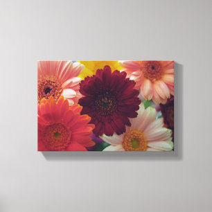 Gerbera Daisy Blume Foto Leinwand Wine tasting