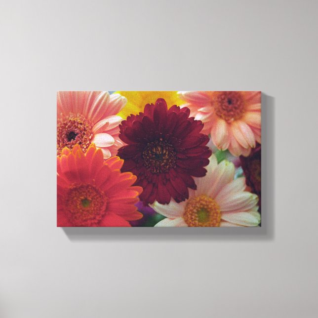 Gerbera Daisy Blume Foto Leinwand Wine tasting (Vorderseite)