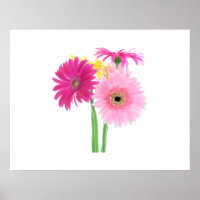Gerbera Daisy Blume
