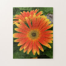 Gerbera Daisy Blume Puzzle