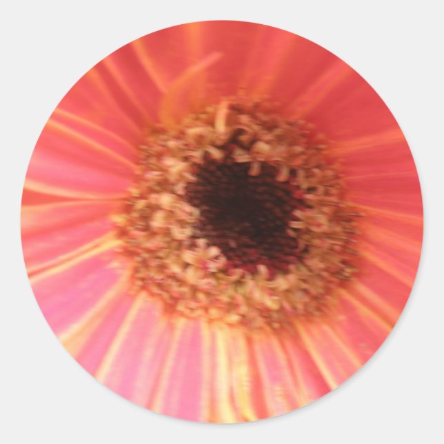 Gerbera Daisy Blume Stickers (Vorderseite)