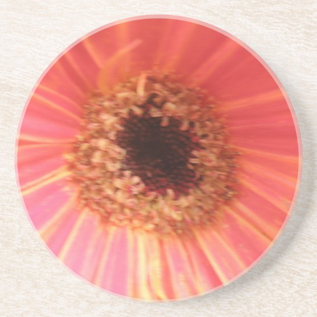Gerbera Daisy Blume Untersetzer (Vorne)