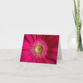Gerbera Daisy Card Karte