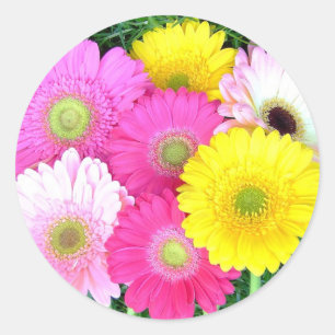 Gerbera Daisy Colors Runder Aufkleber