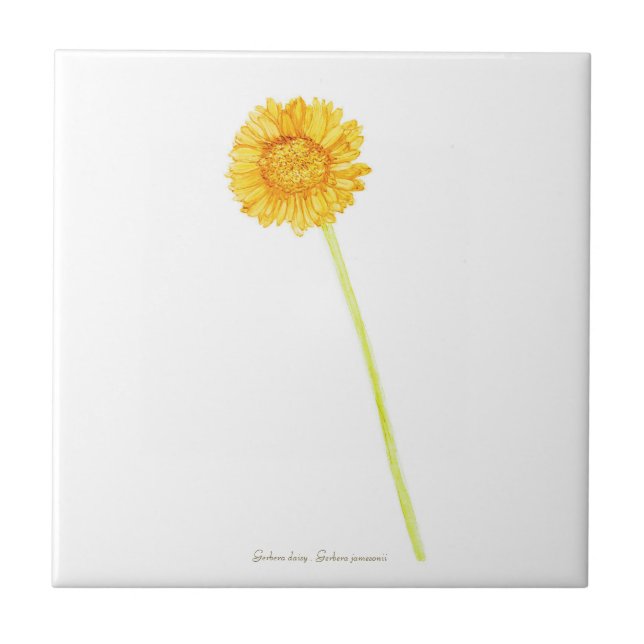 Gerbera daisy fliese (Vorderseite)
