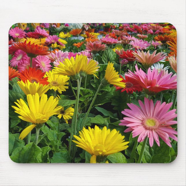 Gerbera Daisy Garden Mousepad (Vorne)
