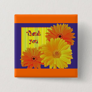 Gerbera Daisy (Gerbera hybrida) - Gelb Button