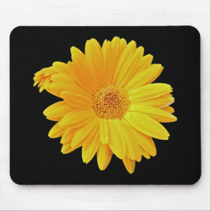 Gerbera Daisy (Gerbera hybrida) - Gelb Mousepad