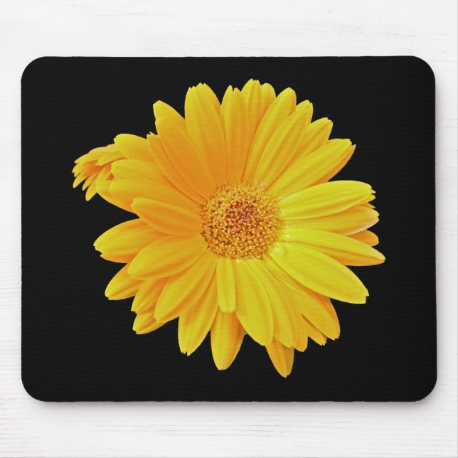 Gerbera Daisy (Gerbera hybrida) - Gelb Mousepad (Vorne)
