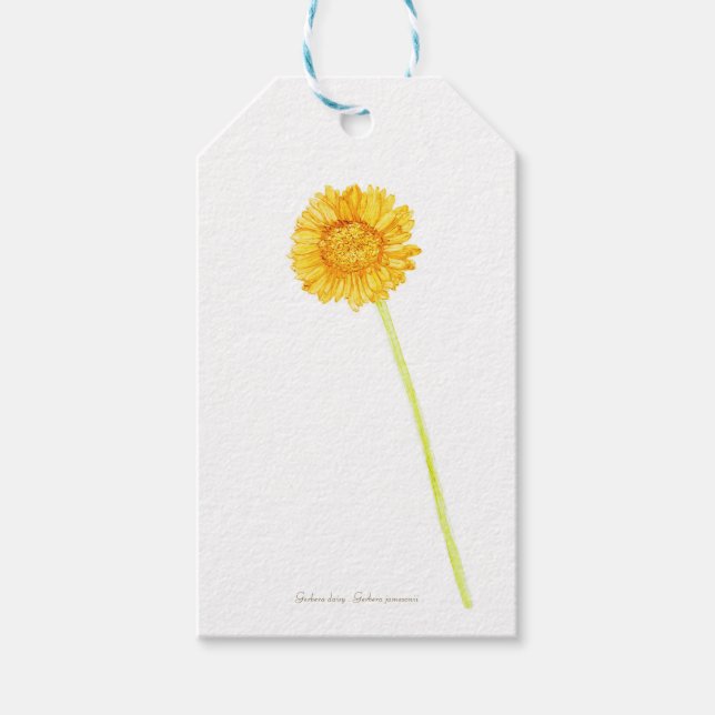 Gerbera daisy geschenkanhänger (Vorderseite)