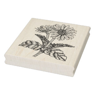 Gerbera Daisy Gummistempel