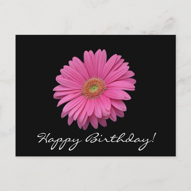 Gerbera Daisy Happy Birthday Postcard Postkarte (Vorderseite)
