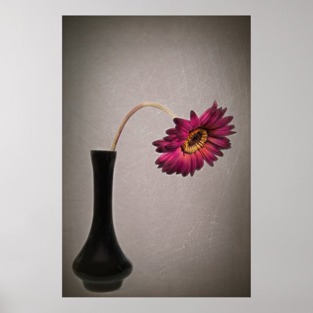 Gerbera Daisy in Vase fallen lassen Poster (Vorne)