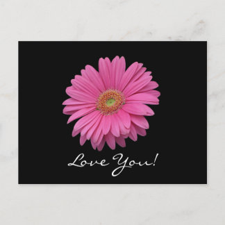 Gerbera Daisy Liebe You Postcard Postkarte