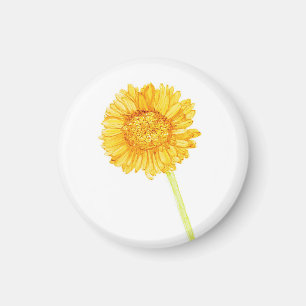 Gerbera daisy magnet