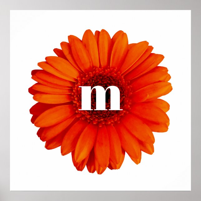 Gerbera Daisy Monogram Initial Poster (Vorne)