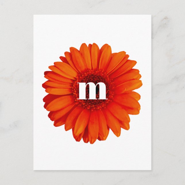 Gerbera Daisy Monogram Initial Postkarte (Vorderseite)