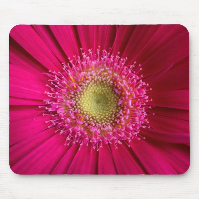 Gerbera Daisy Mouse Pad Mousepad (Vorne)
