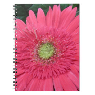 Gerbera Daisy Notizblock